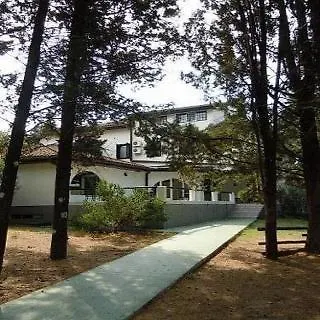 Park Hotel Visici