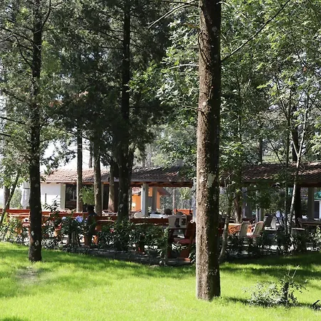 Hotel Park