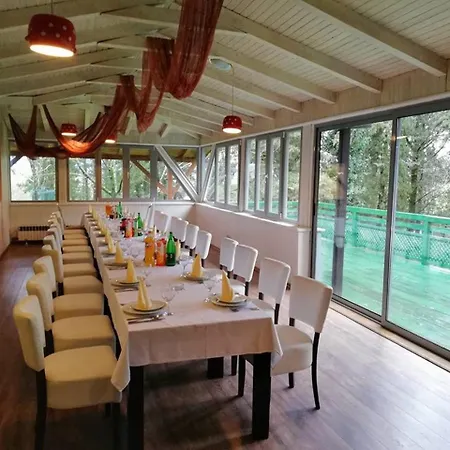 Hotel Park Visici
